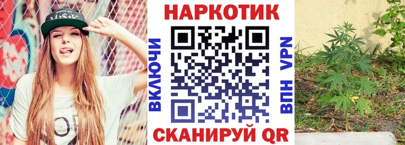 А ПВП Ермолино