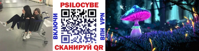 Псилоцибиновые грибы Psilocybine cubensis Ермолино